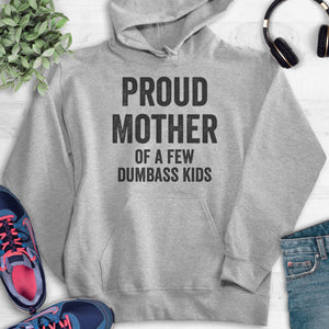 Proud Mother Of A Few Dumbass Kids Hoodie Heather Gray